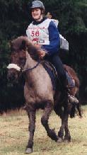 Jana and Gola, Icelandic Horse