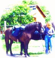 Ellen and Sorti, Icelandic Horse